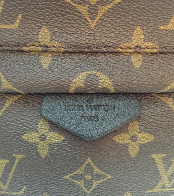 Louis Vuitton Monogram Canvas PALM SPRINGS BACKPACK PM M41560